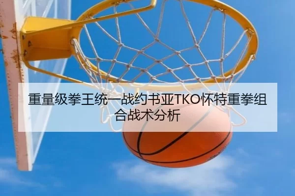 重量级拳王统一战约书亚TKO怀特重拳组合战术分析